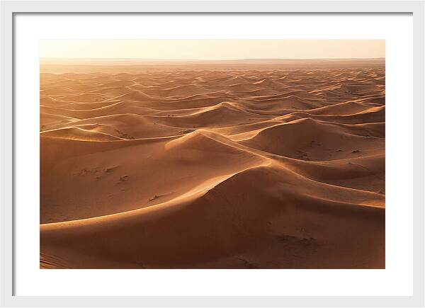 Desert Dunes Rippling Toward Horizon