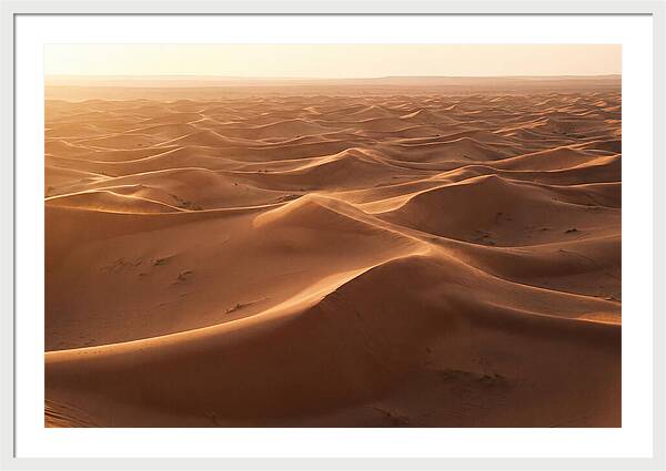 Desert Dunes Rippling Toward Horizon