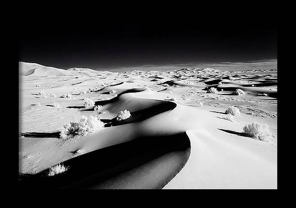 Desert Dusk Over Erg Chebbi Dunes