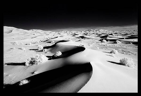 Desert Dusk Over Erg Chebbi Dunes