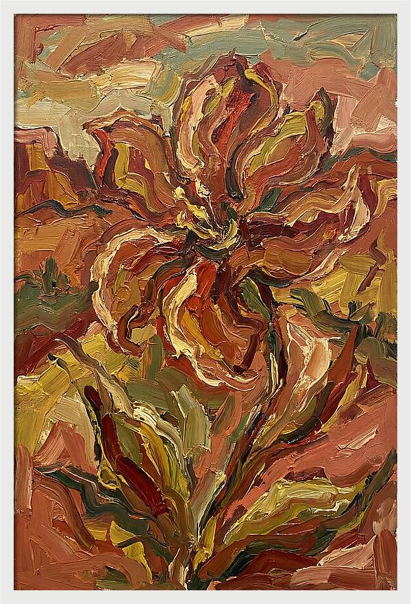 Desert Flower Blooming Brightly