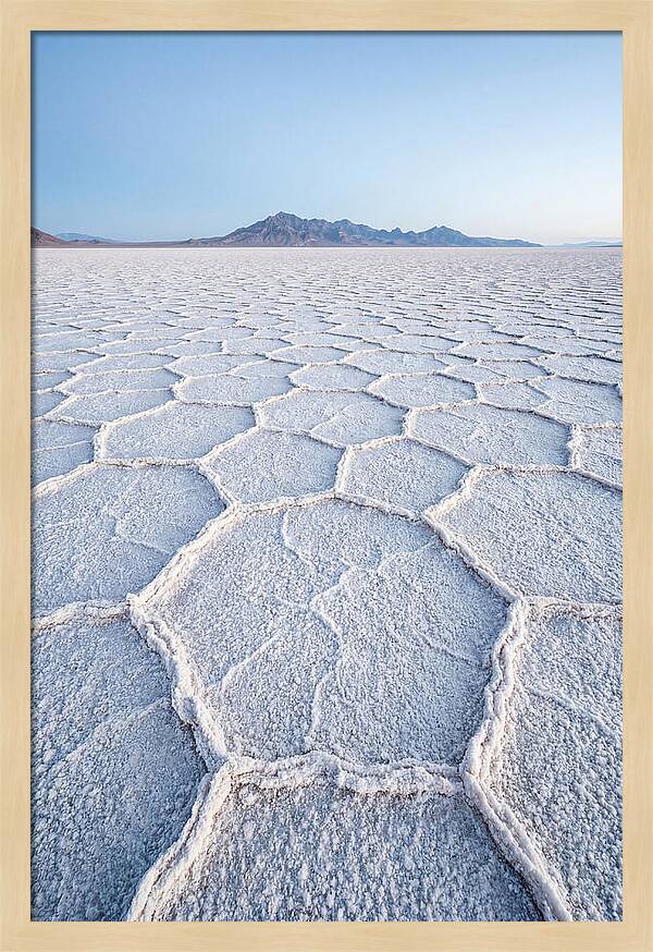 Desert Jewel Reflections