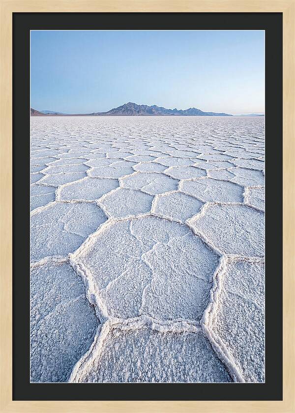 Desert Jewel Reflections