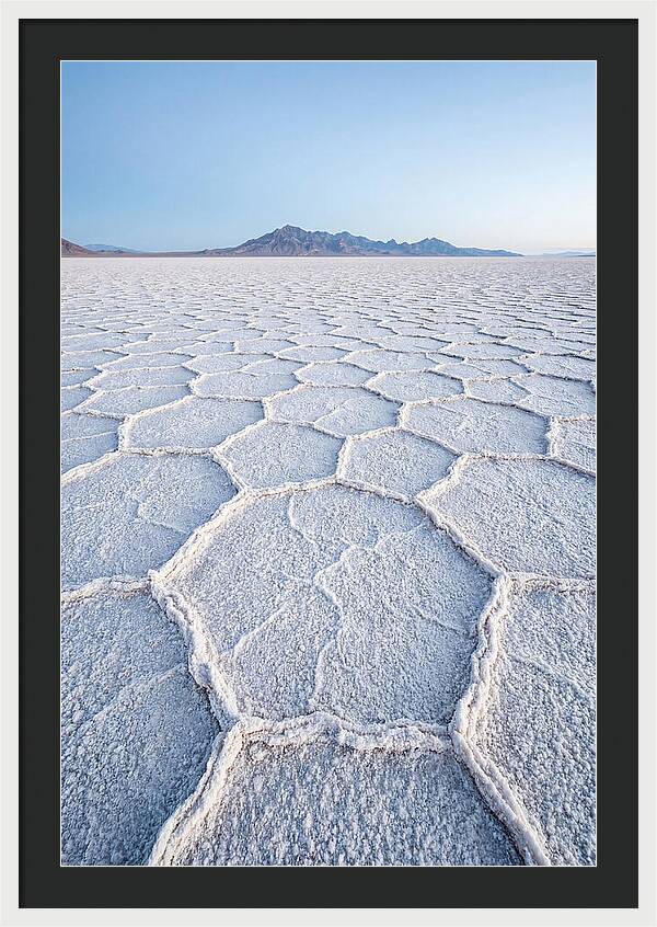 Desert Jewel Reflections
