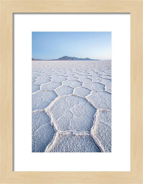 Desert Jewel Reflections