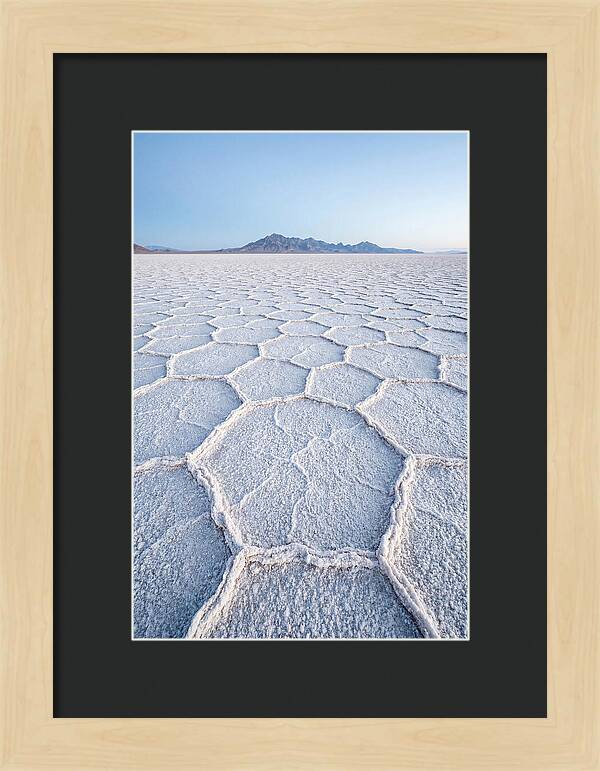 Desert Jewel Reflections