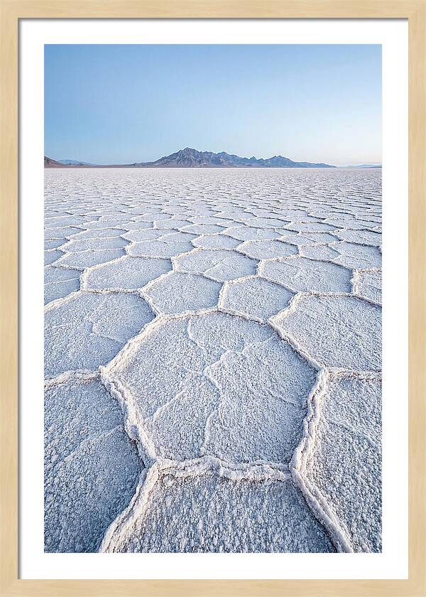 Desert Jewel Reflections