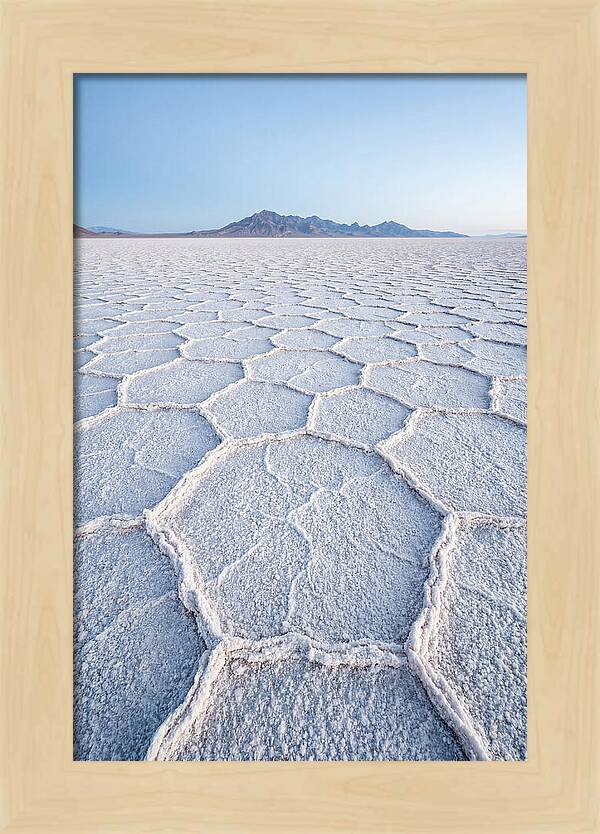Desert Jewel Reflections
