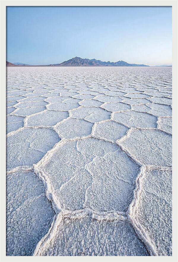 Desert Jewel Reflections