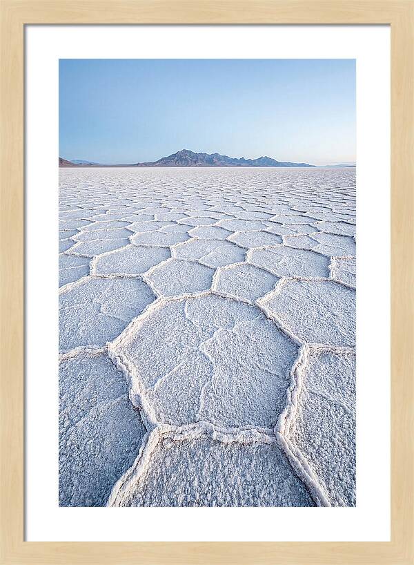 Desert Jewel Reflections