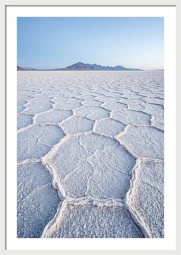 Desert Jewel Reflections
