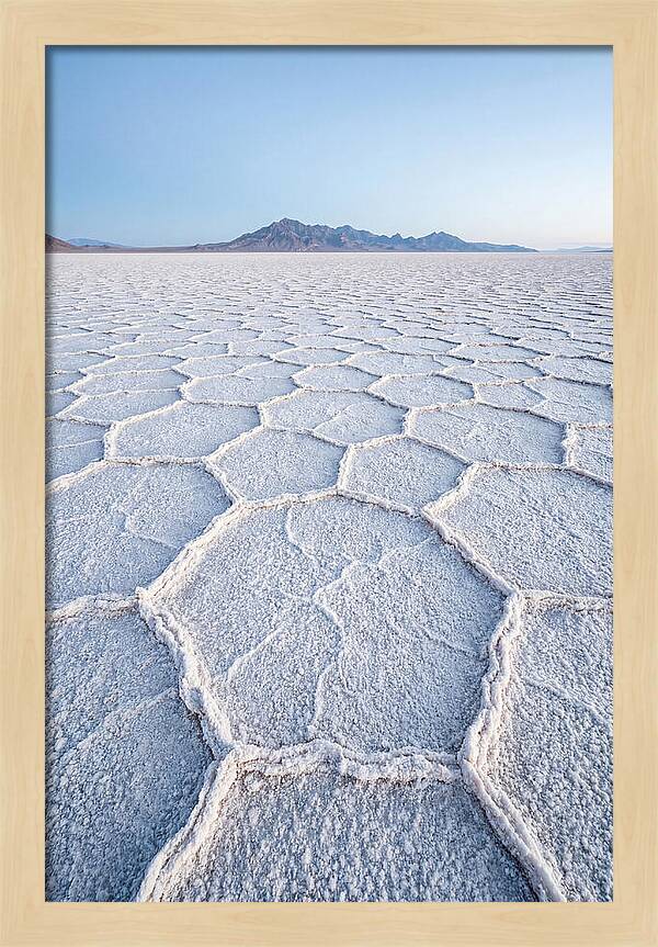 Desert Jewel Reflections