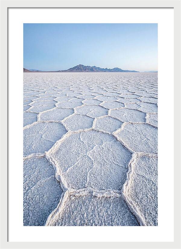 Desert Jewel Reflections