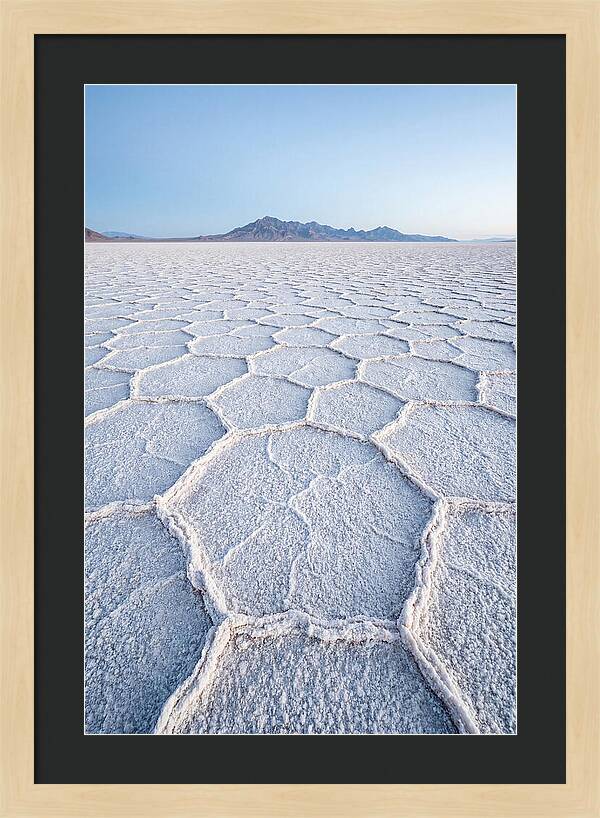 Desert Jewel Reflections