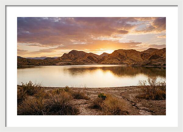 Desert Serenity At Sunset