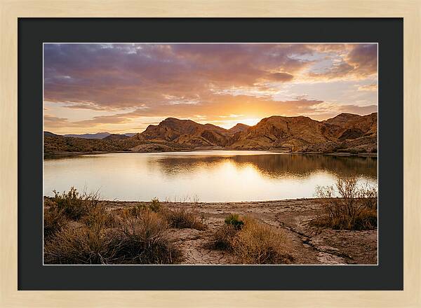 Desert Serenity At Sunset