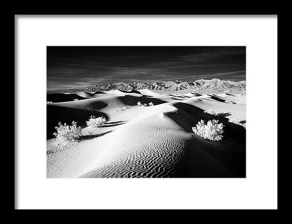 Desert Sunrise Over Mesquite Dunes