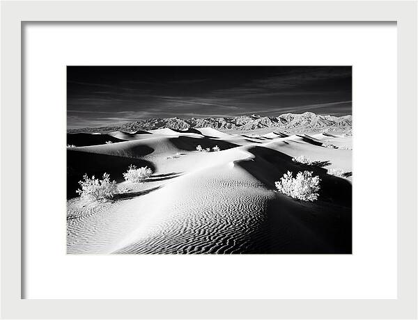 Desert Sunrise Over Mesquite Dunes