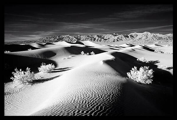 Desert Sunrise Over Mesquite Dunes