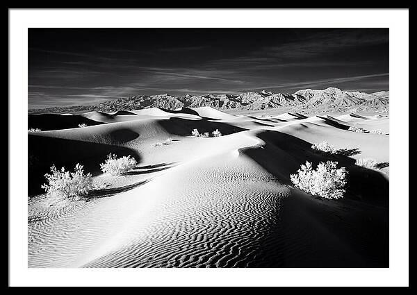 Desert Sunrise Over Mesquite Dunes