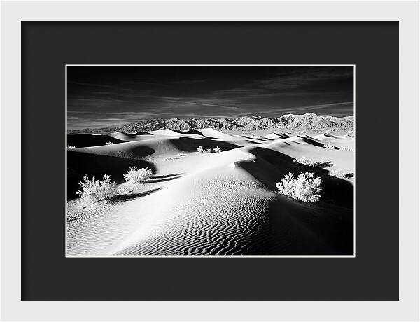 Desert Sunrise Over Mesquite Dunes