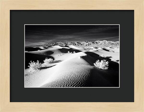 Desert Sunrise Over Mesquite Dunes