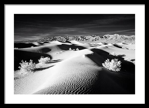Desert Sunrise Over Mesquite Dunes