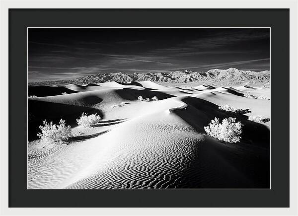 Desert Sunrise Over Mesquite Dunes