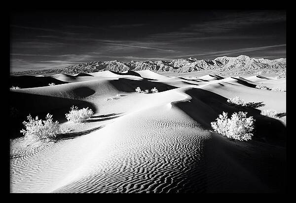 Desert Sunrise Over Mesquite Dunes