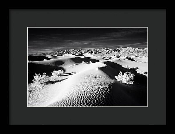 Desert Sunrise Over Mesquite Dunes