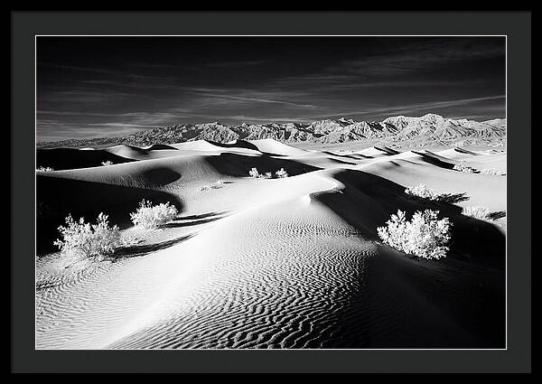 Desert Sunrise Over Mesquite Dunes