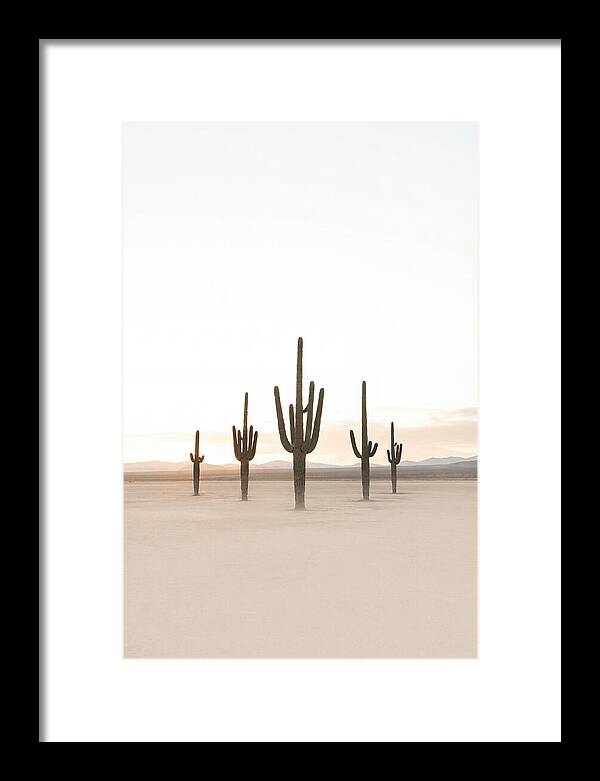 Desert Sunrise With Silhouetted Saguaro
