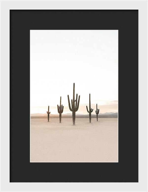 Desert Sunrise With Silhouetted Saguaro