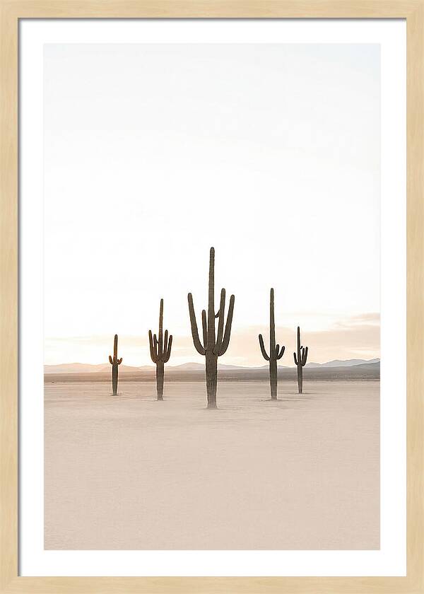 Desert Sunrise With Silhouetted Saguaro