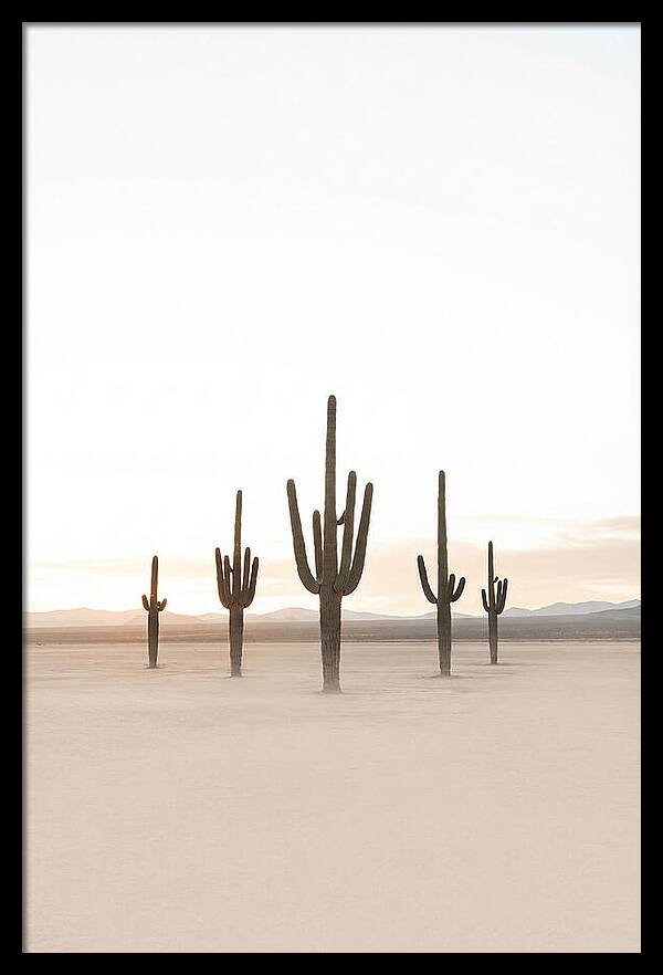 Desert Sunrise With Silhouetted Saguaro