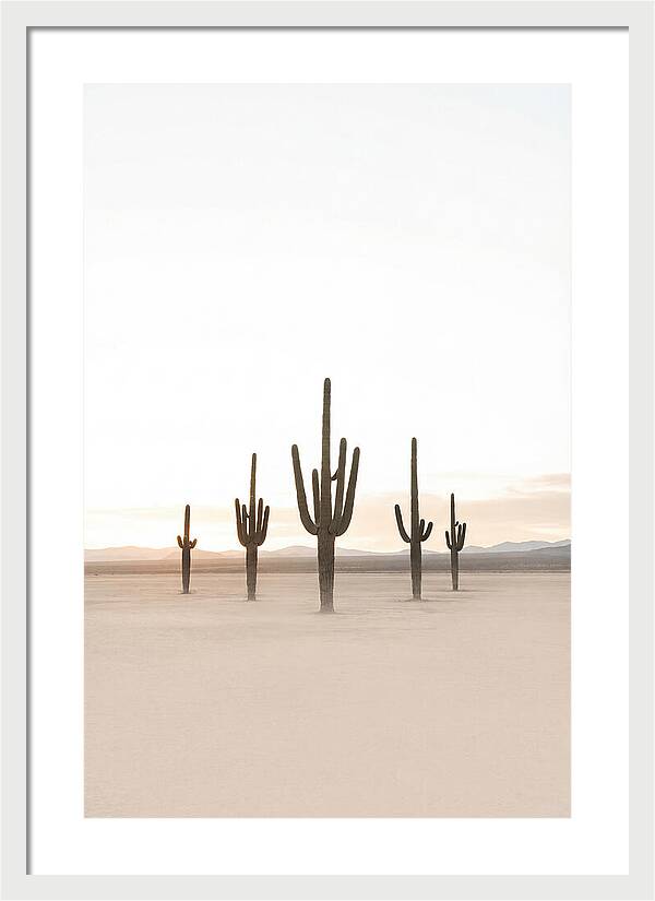 Desert Sunrise With Silhouetted Saguaro
