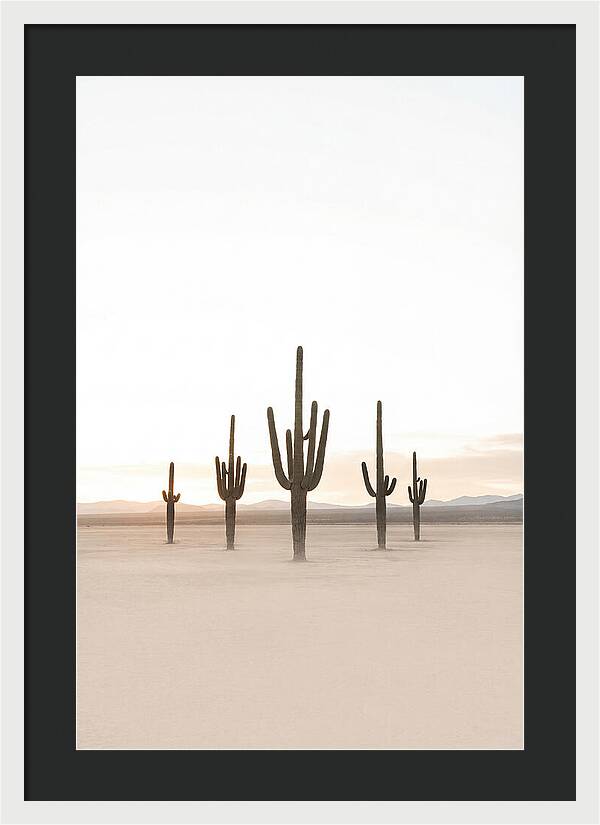 Desert Sunrise With Silhouetted Saguaro