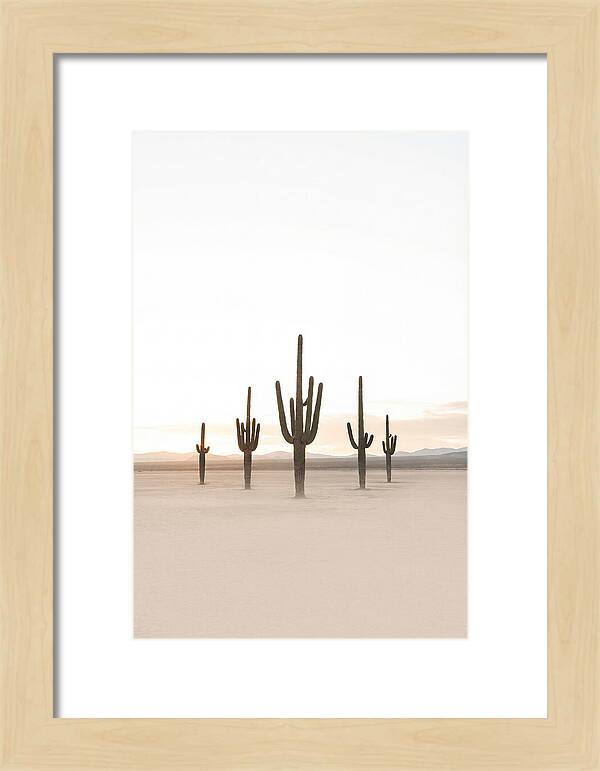 Desert Sunrise With Silhouetted Saguaro