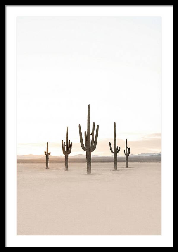 Desert Sunrise With Silhouetted Saguaro