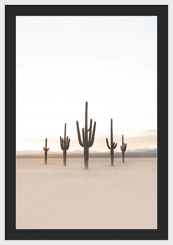 Desert Sunrise With Silhouetted Saguaro