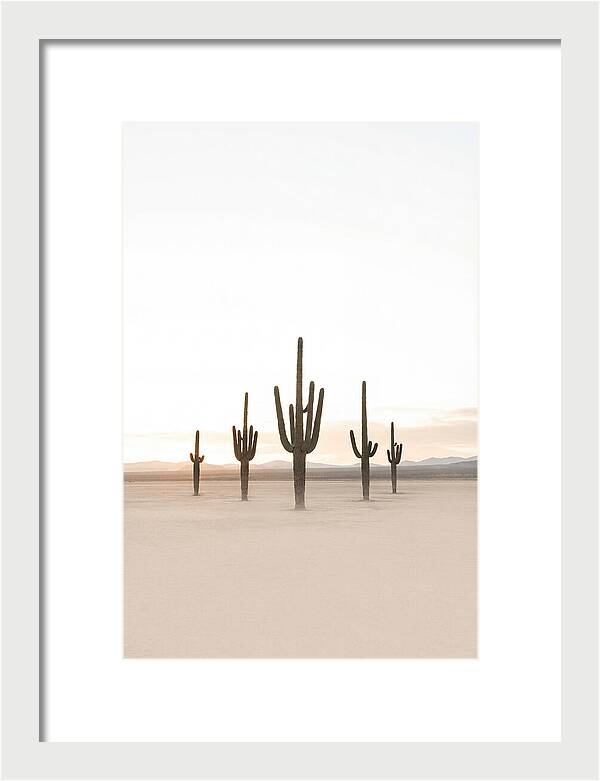 Desert Sunrise With Silhouetted Saguaro