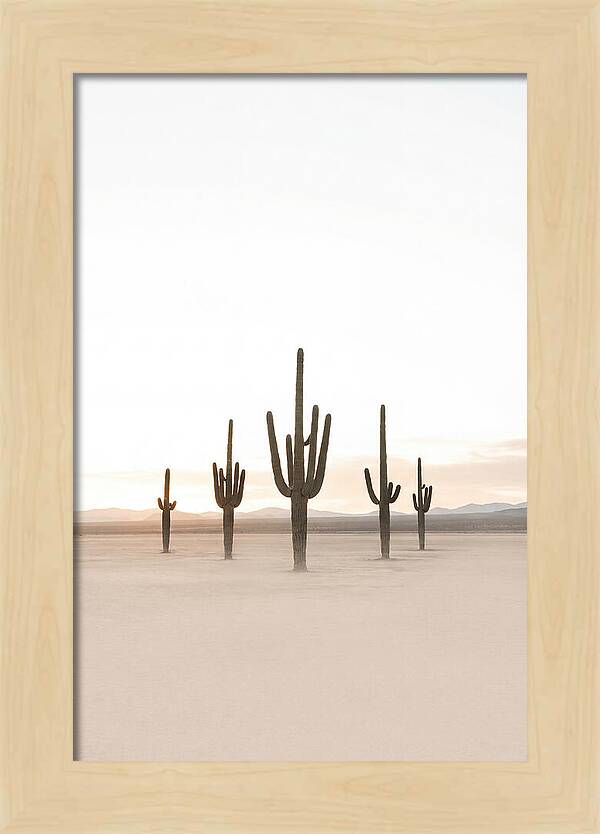 Desert Sunrise With Silhouetted Saguaro