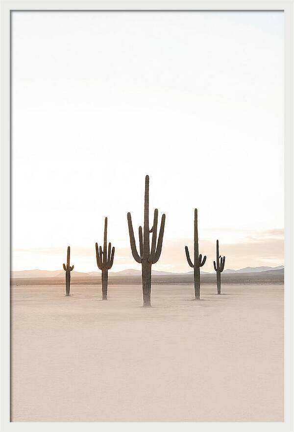 Desert Sunrise With Silhouetted Saguaro