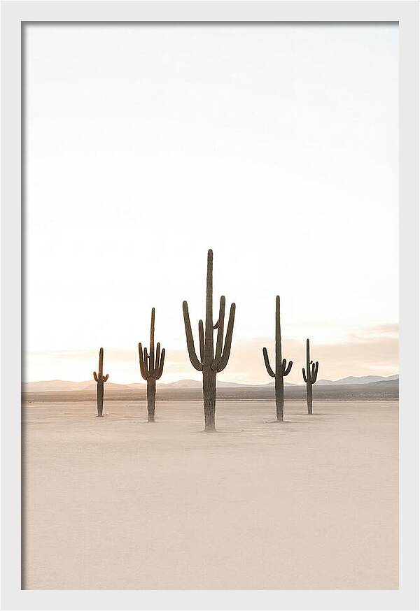 Desert Sunrise With Silhouetted Saguaro