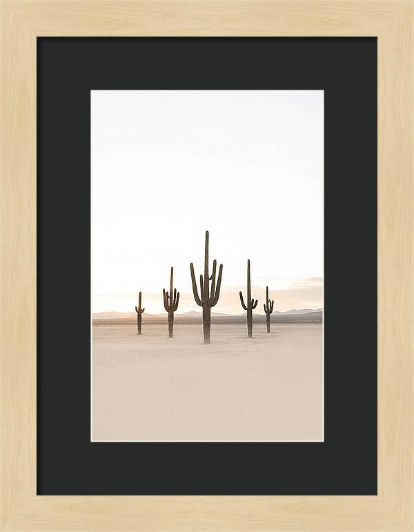Desert Sunrise With Silhouetted Saguaro
