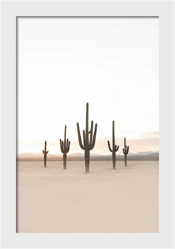 Desert Sunrise With Silhouetted Saguaro