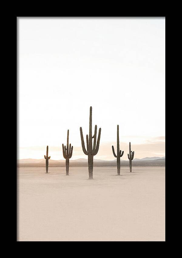 Desert Sunrise With Silhouetted Saguaro