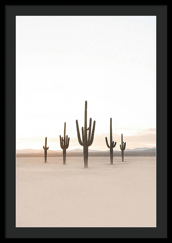 Desert Sunrise With Silhouetted Saguaro