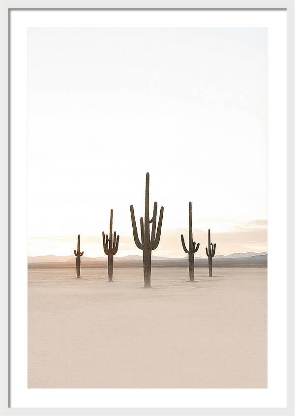 Desert Sunrise With Silhouetted Saguaro