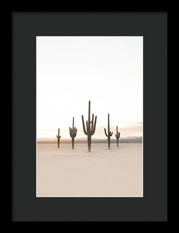 Desert Sunrise With Silhouetted Saguaro